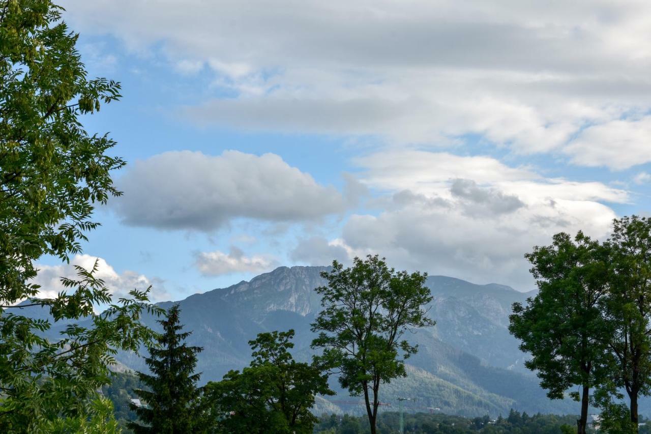Willa U Slodkiego Zakopane Kültér fotó