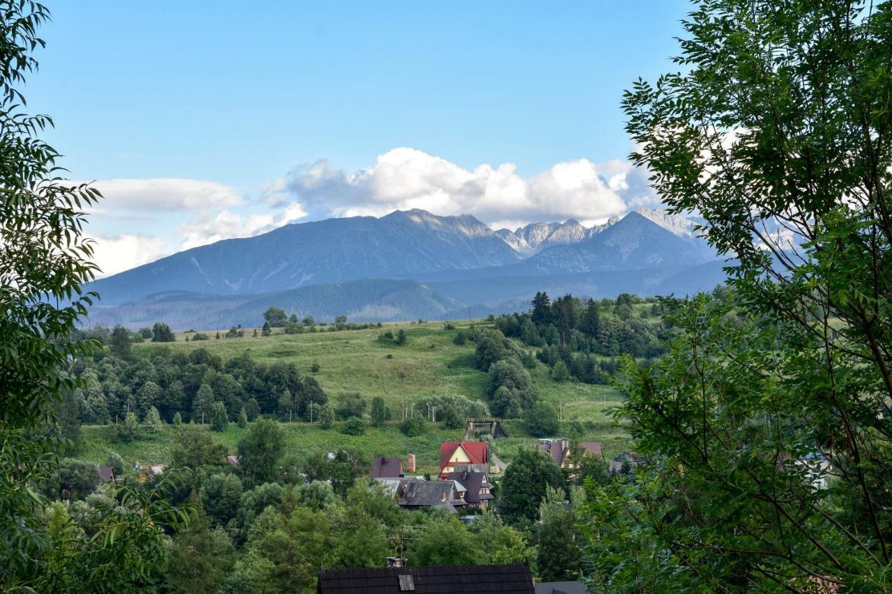 Willa U Slodkiego Zakopane Kültér fotó