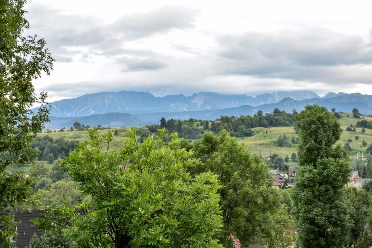 Willa U Slodkiego Zakopane Kültér fotó